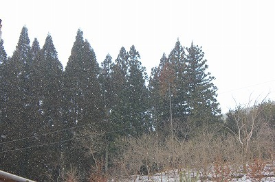 2015.3.10-1.jpg