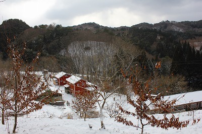 2015.3.10-6.jpg