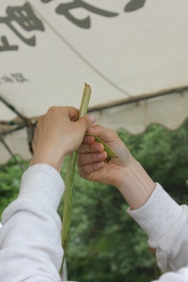 2016.5.29-12.jpg