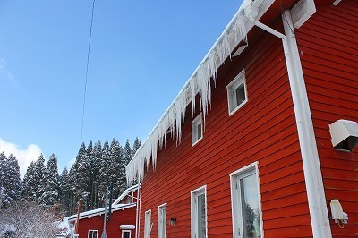 IMG_0617.jpg