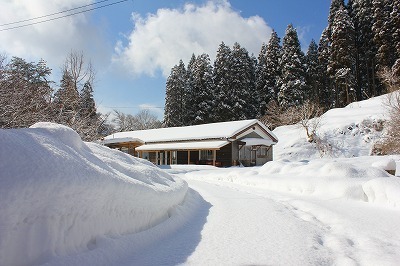 IMG_0624.jpg
