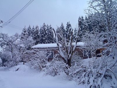 P1140001.jpg