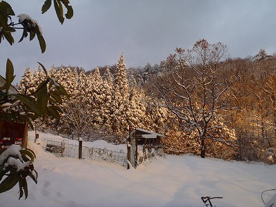 P1140013.jpg